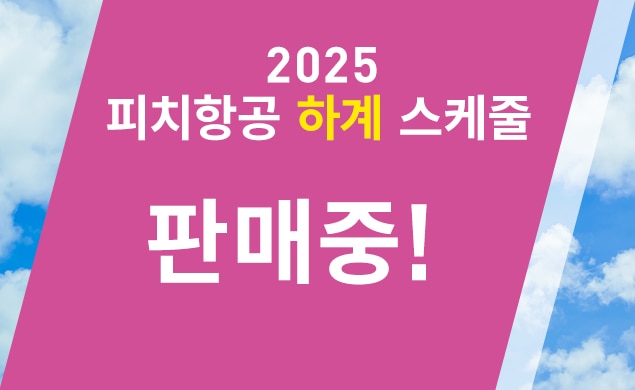 2025 하계 스케줄