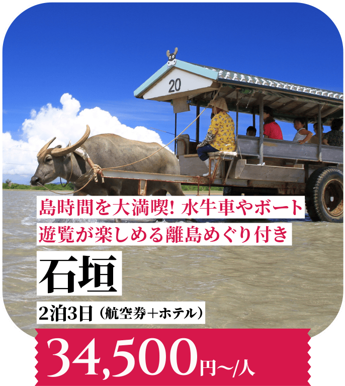 島時間を大満喫！水牛車やボート遊覧が楽しめる離島めぐり付き 石垣 2泊3日 （航空券＋ホテル）34,500円〜/人