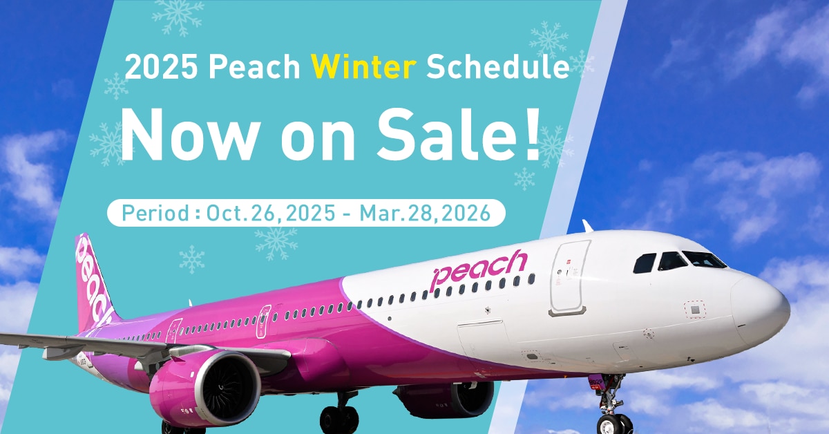 Flight Schedule