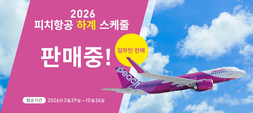 2026 하계 스케줄