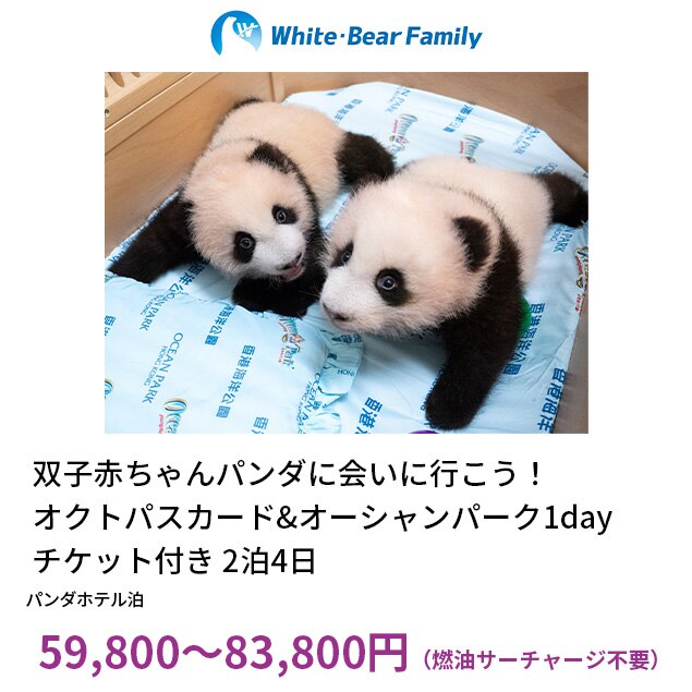 【PeachTravel｜ありがとうフェア！】関西発/日系LCC・Peachで行く香港旅行！『パンダホテル』ICカード&オーシャンパーク1デーチケット付2泊4日間 （空港⇒ホテル間往路送迎）