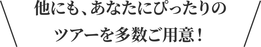 他にも、あなたにぴったりのツアーを多数ご用意！