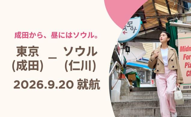成田から、昼にはソウル。