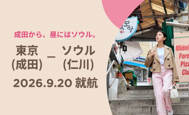 成田から、昼にはソウル。