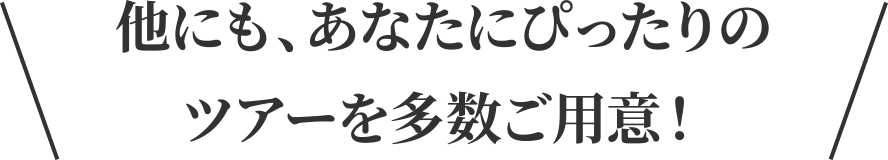 他にも、あなたにぴったりのツアーを多数ご用意！