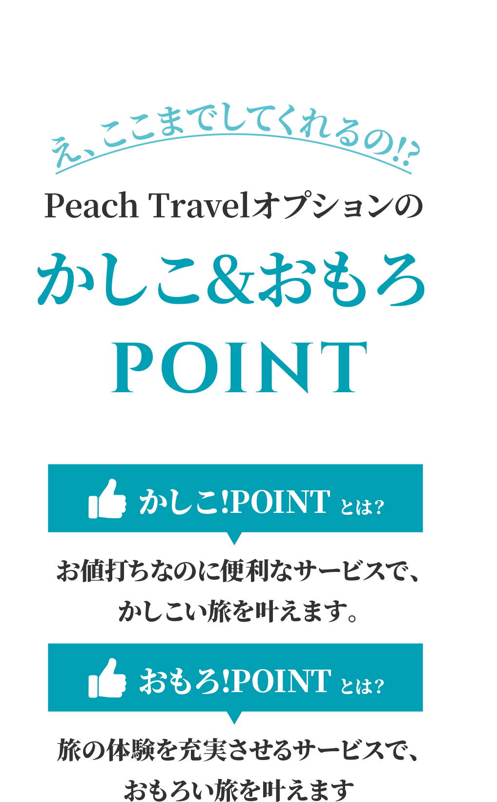 え、ここまでしてくれるの!? Peach Travelオプションのかしこ&おもろPOINT かしこ!POINTとは？お値打ちなのに便利なサービスで、かしこい旅を叶えます。おもろ!POINTとは？旅の体験を充実させるサービスで、<br>おもろい旅を叶えます