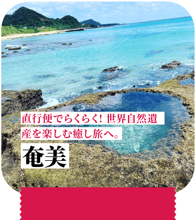 直行便でらくらく！世界自然遺産を楽しむ癒し旅へ。奄美