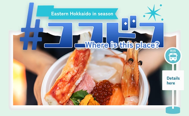 Where is this place? Travel around eastern Hokkaido on a sightseeing bus!