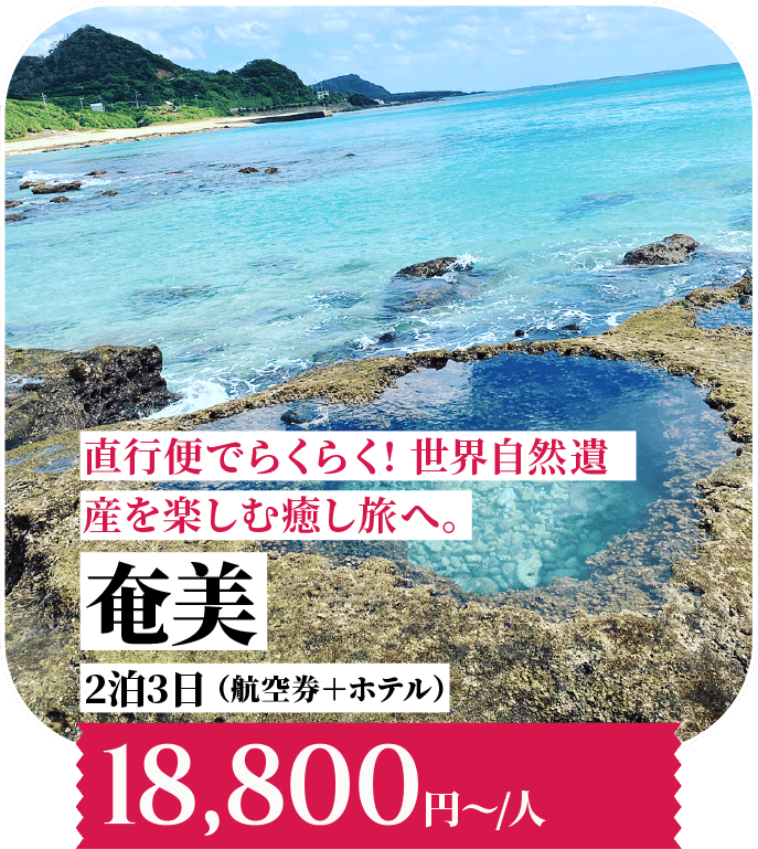 直行便でらくらく！世界自然遺産を楽しむ癒し旅へ。奄美 2泊3日 （航空券＋ホテル）18,800円〜/人